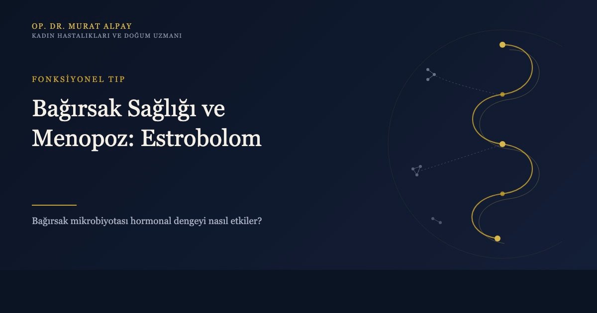 Bağırsak Sağlığı ve Menopoz: Estrobolom Hormonal Dengeyi Nasıl Etkiler?