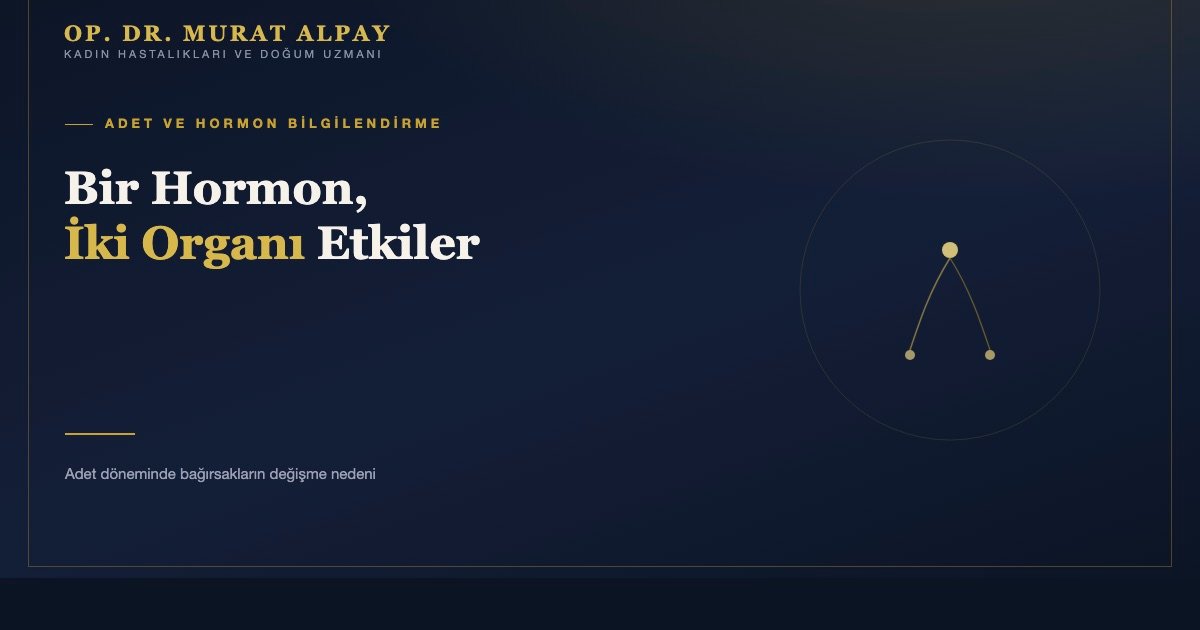 Adet Döneminde Bağırsak Alışkanlıkları Neden Değişir?