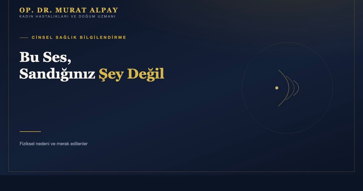 Cinsel İlişki Sırasında Vajinadan Ses Gelmesi Neden Olur?