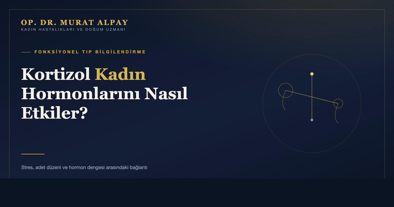 Kortizol (Stres Hormonu) Kadın Hormonlarını Nasıl Etkiler?